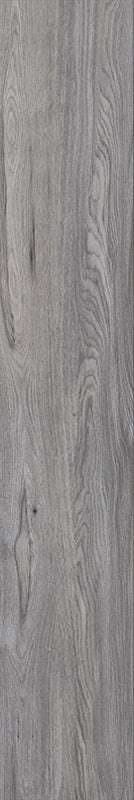 Acorn - Image 12
