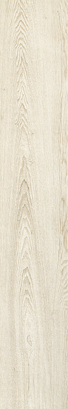 Acorn - Image 13