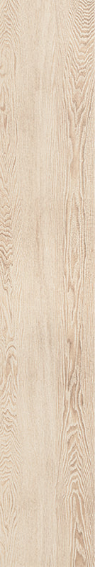 Acorn - Image 15