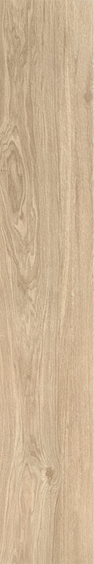 Acorn - Image 17