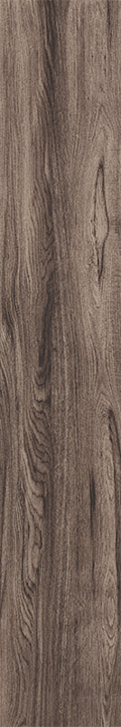 Acorn - Image 19