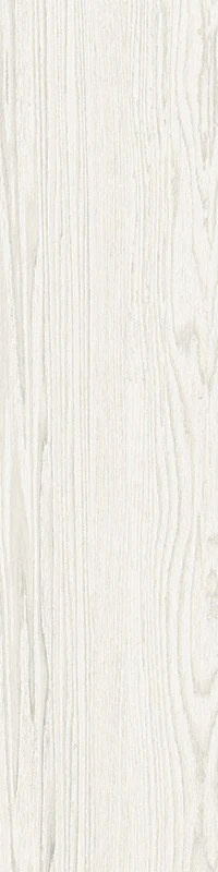 Acorn - Image 24