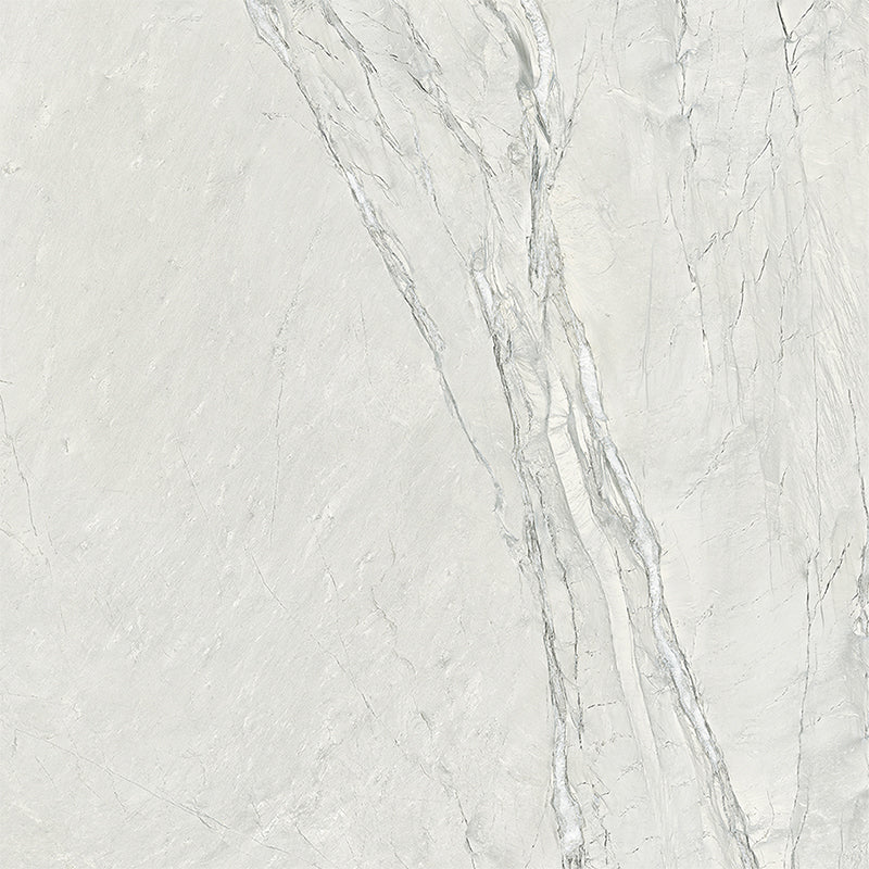 Cardosia - Image 19