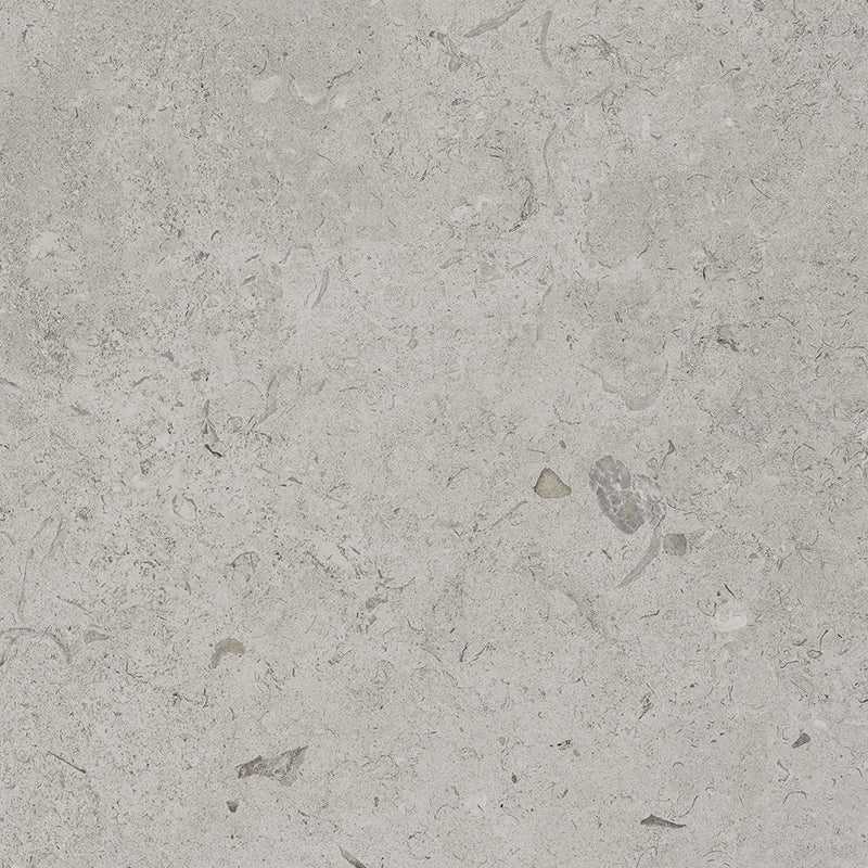 Coralina - Image 12