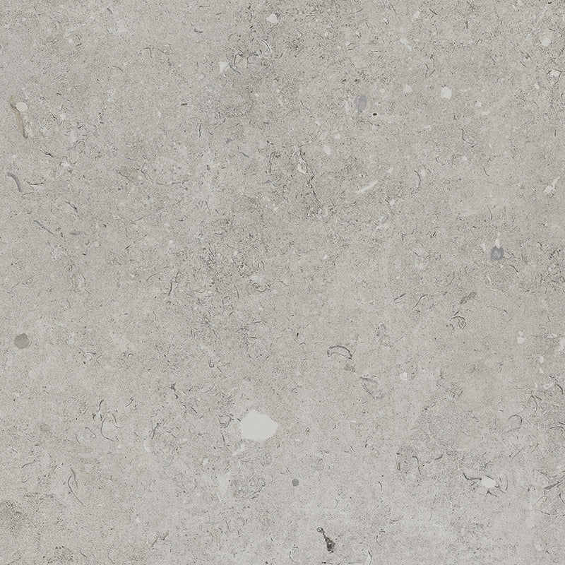 Coralina - Image 14