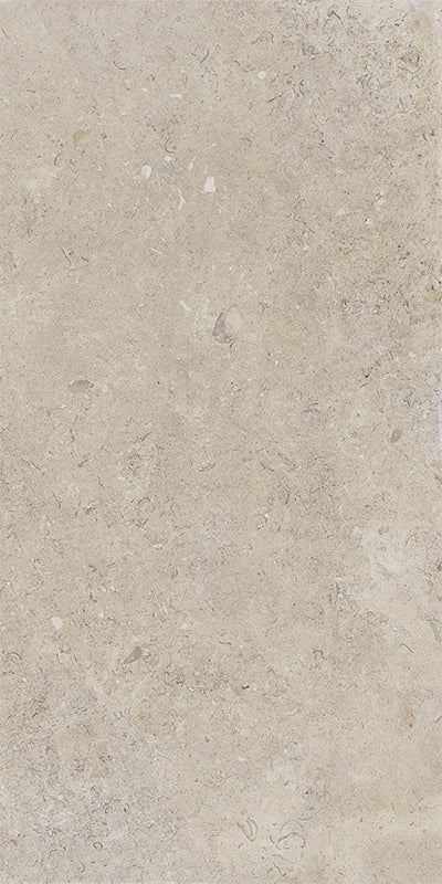 Coralina - Image 17