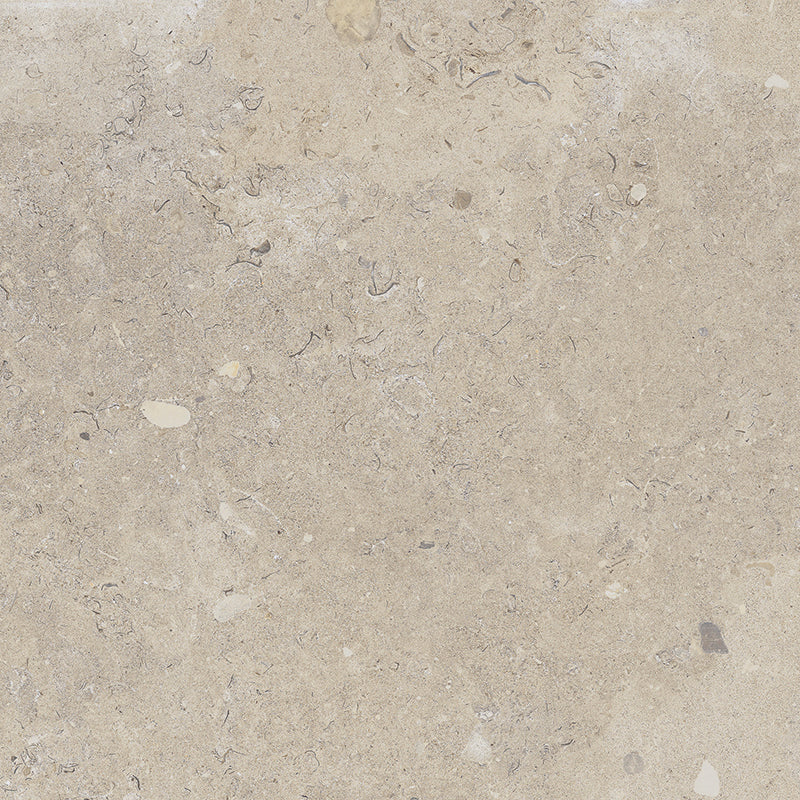 Coralina - Image 18