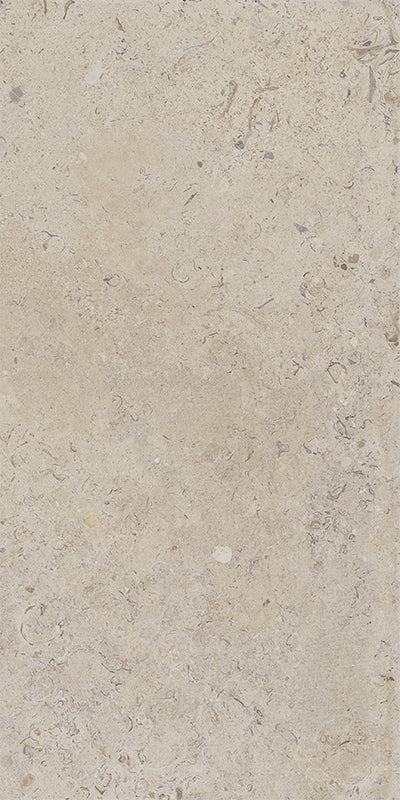Coralina - Image 19