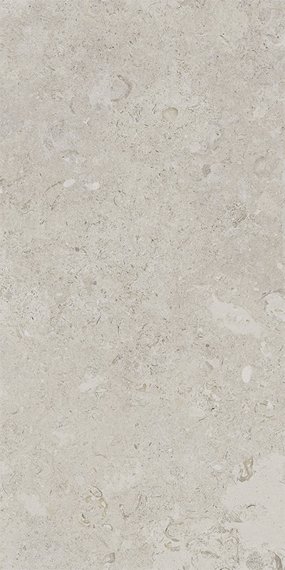 Coralina - Image 8