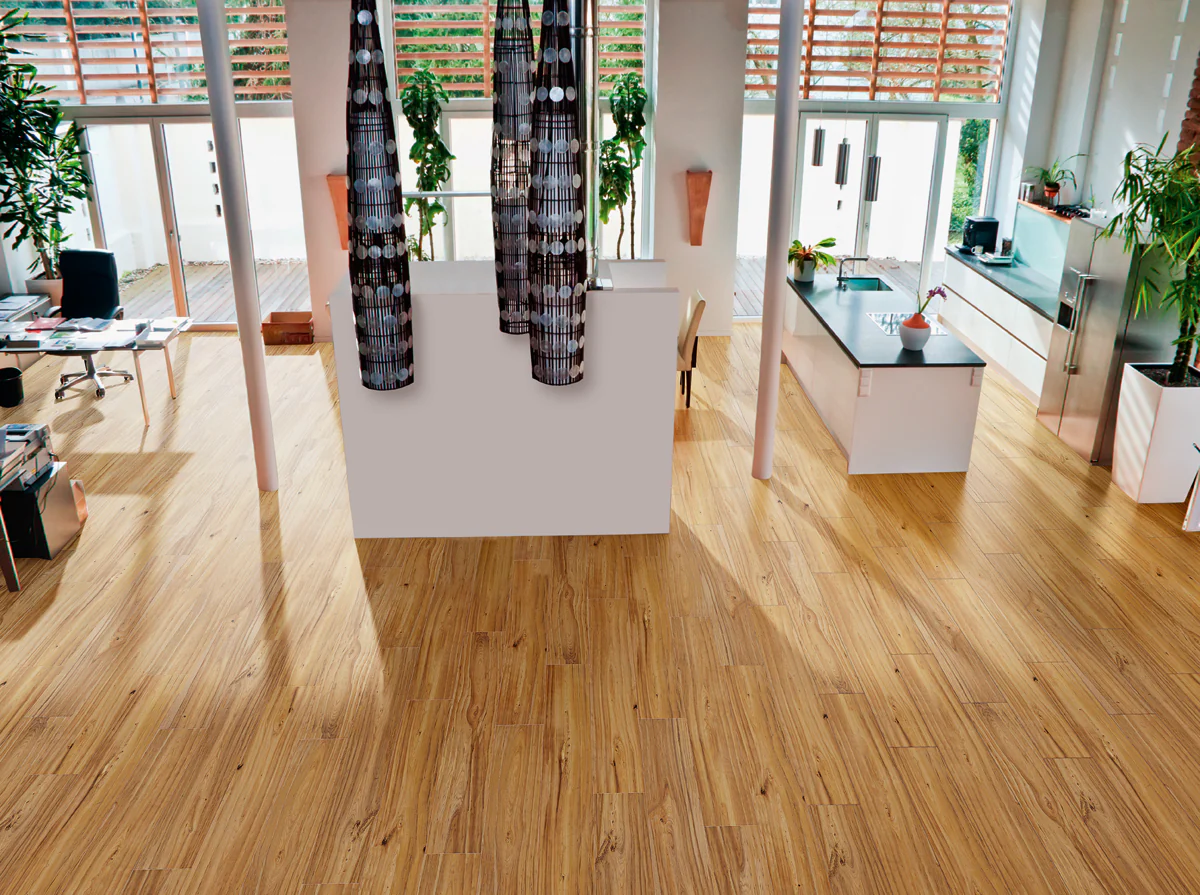 Cypress - Image 3