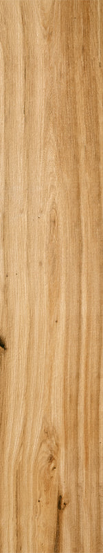 Cypress - Image 4
