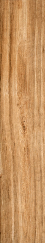 Cypress - Image 6
