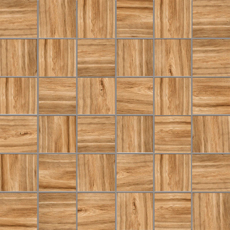 Cypress - Image 7
