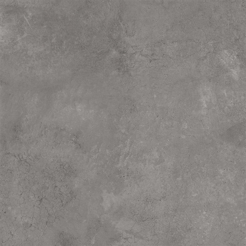 Parker - Image 10